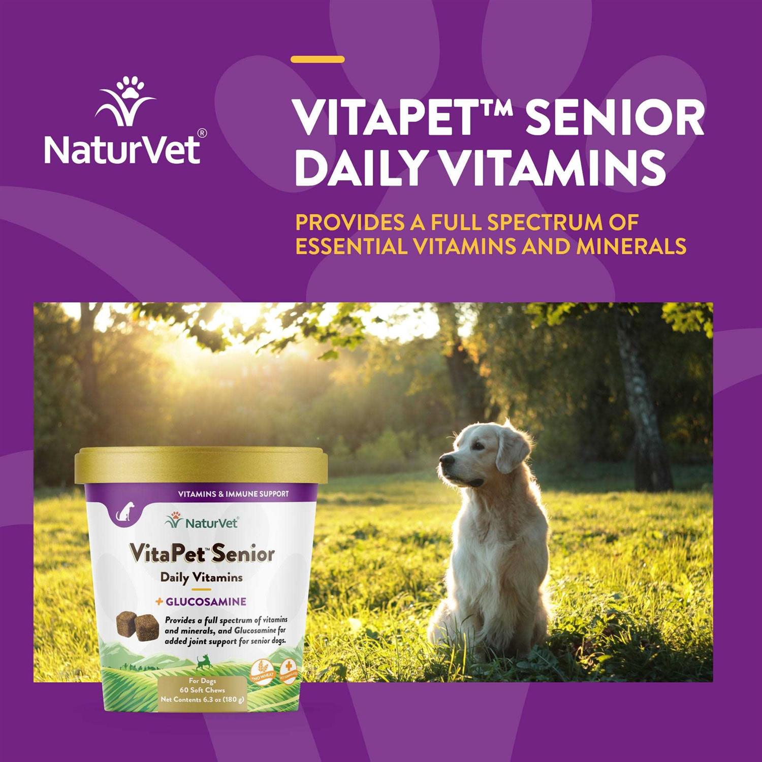NaturVet VitaPet Senior Daily Vitamins Plus Glucosamine - Healthber