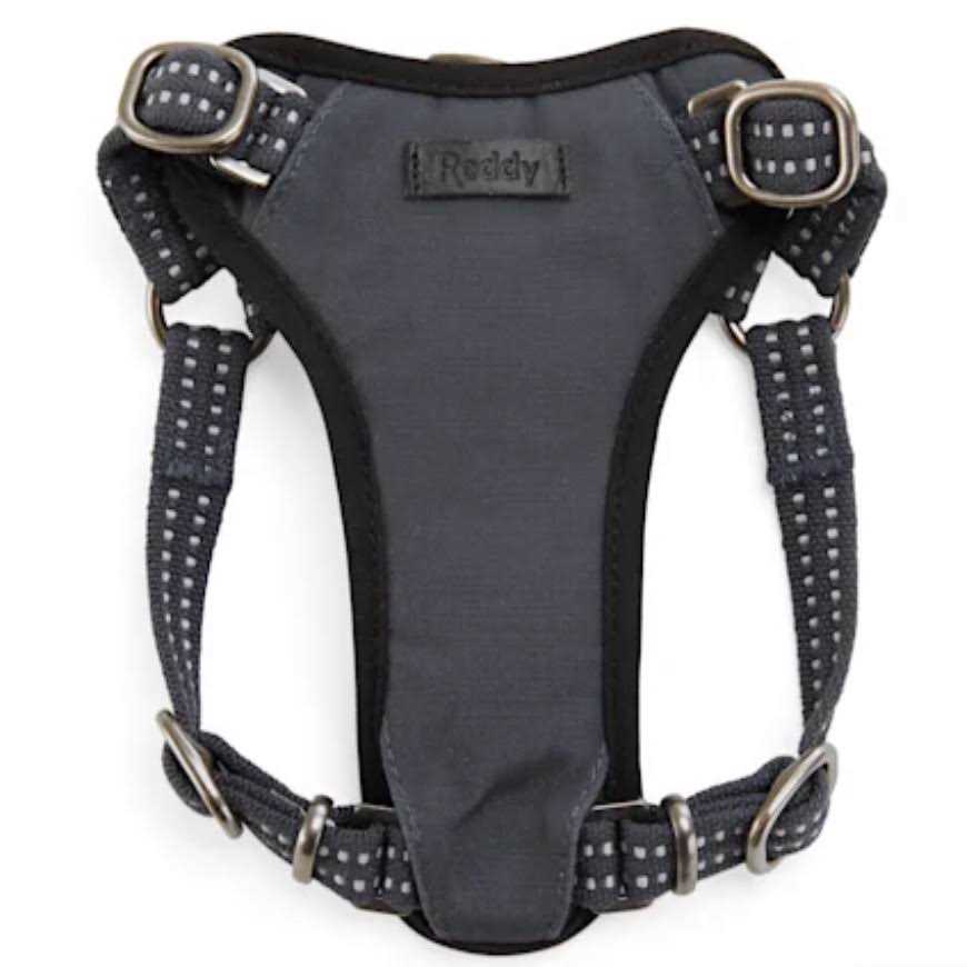 Reddy Small Dog Harness - Healthber