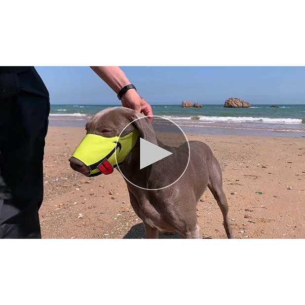 N32 Dog Muzzle Smiley Face Muzzle with Soft Breathable Air Mesh Nylon - Healthber