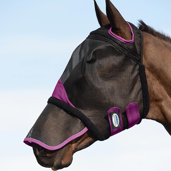 Weatherbeeta ComFITec Durable Mesh Horse Fly Mask with Nose, Black & Purple - Healthber