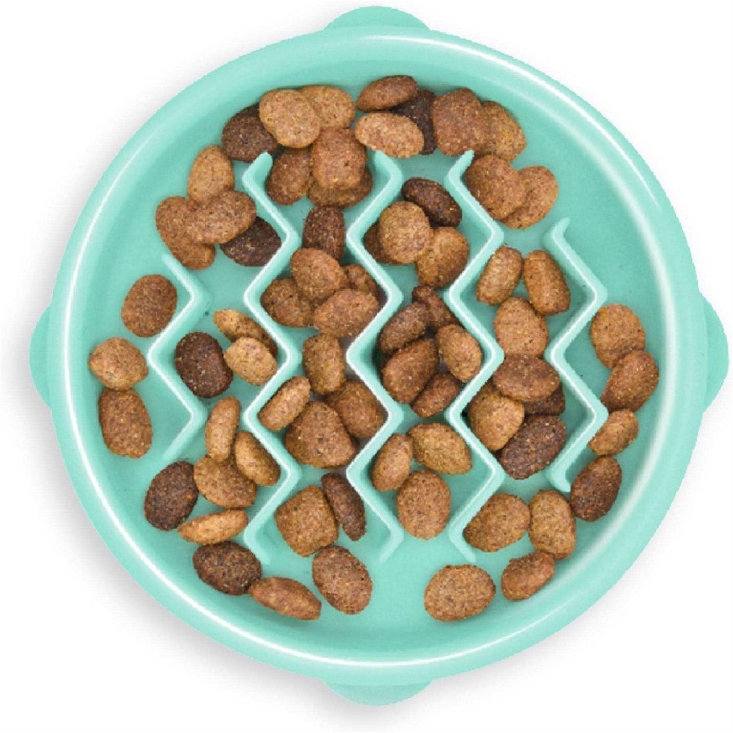 Outward Hound Fun Feeder Slo Bowl - Healthber