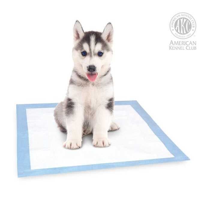 American Kennel Club AKC Puppy Training Pads - Healthber