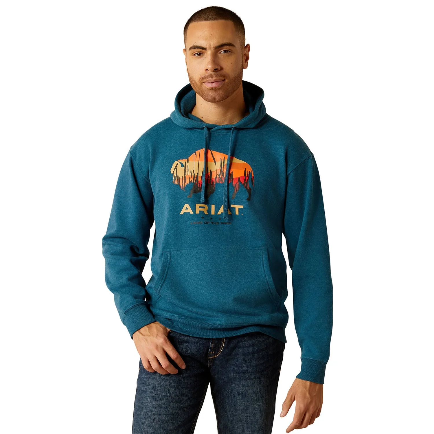 Ariat Men's Bison Plains Hoodie - Healthber