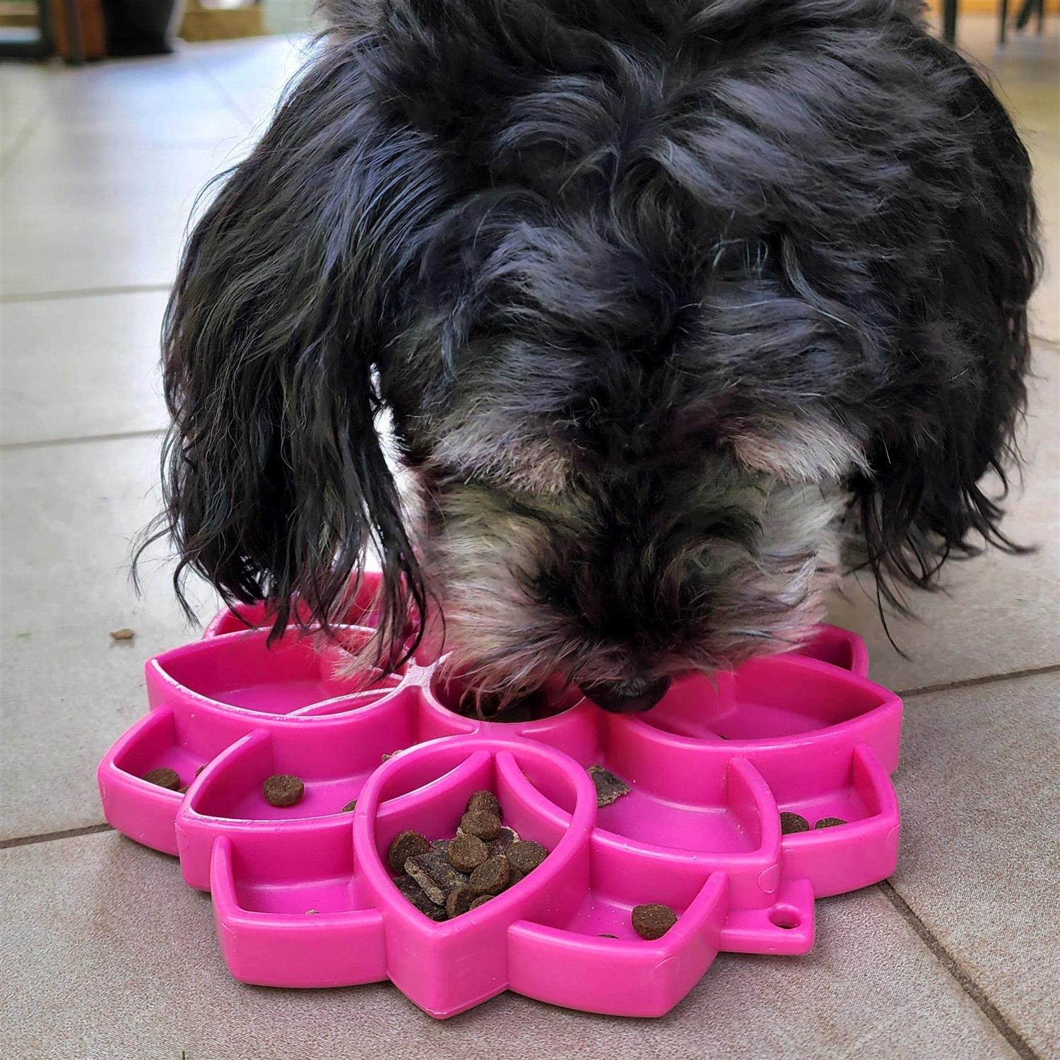 SodaPup Mandala Design eTray Enrichment Tray for Dogs - Healthber