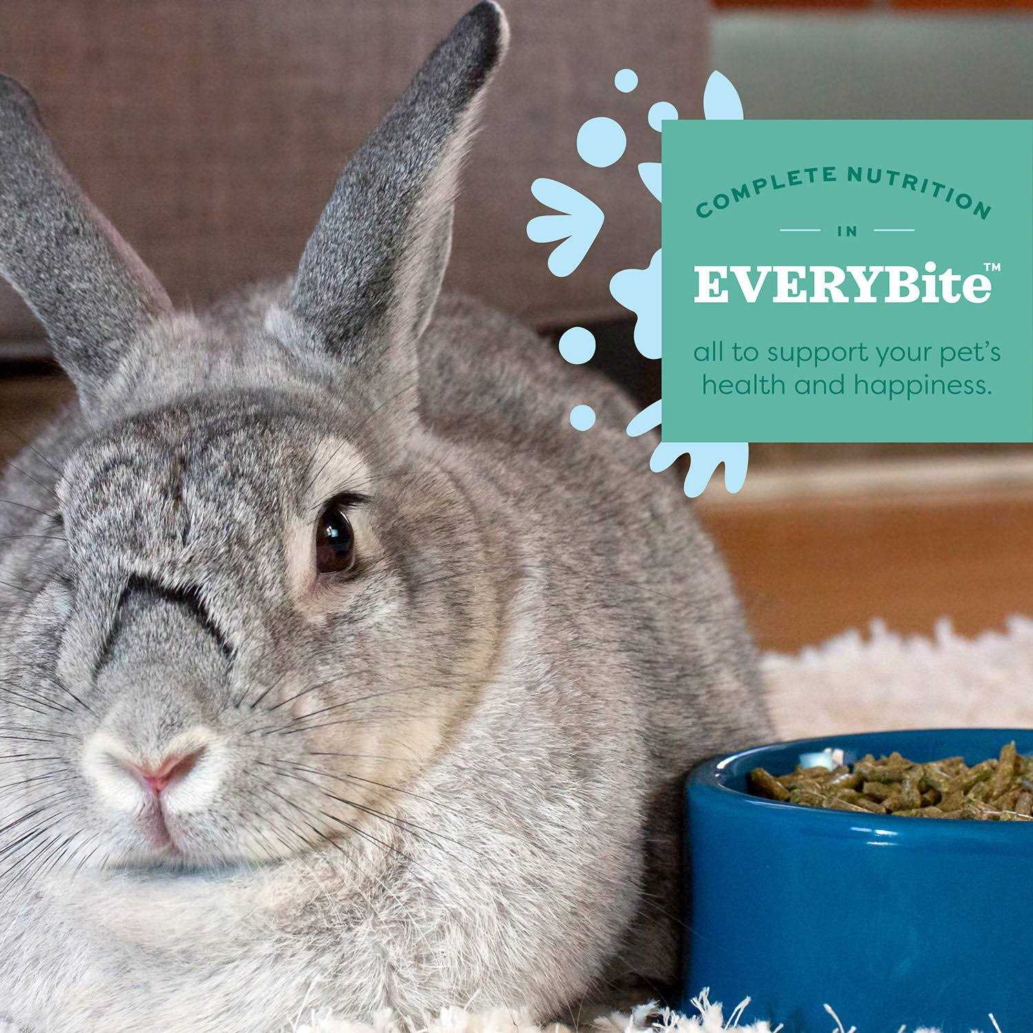 Oxbow Essentials Senior Rabbit Food - Healthber