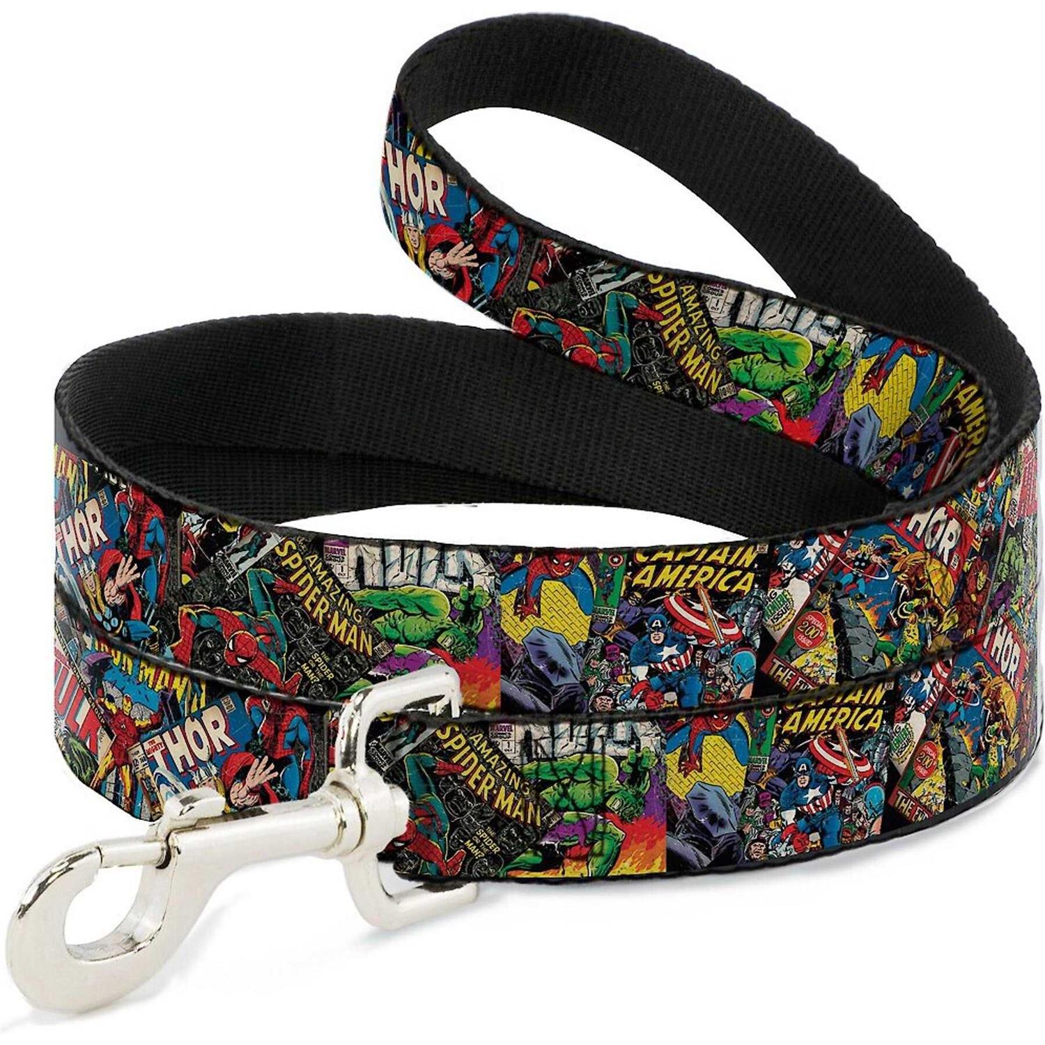 Buckle Down Dog Leash - Healthber