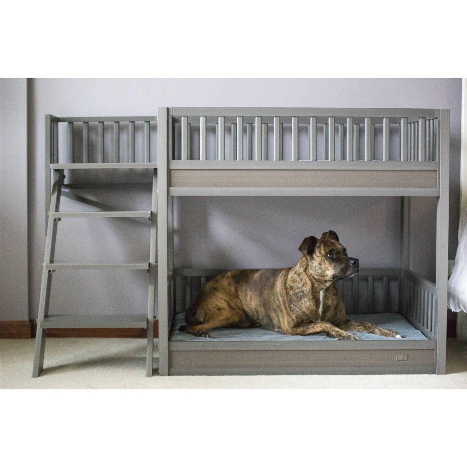 ECOFLEX Dog Bunk Bed with Removable Cushions New Age Pet - Healthber