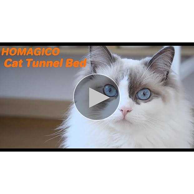 HOMAGICO Cat Tunnel Bed,Peekaboo Cat Cave with Pet Blanket,Detachable Donut Tunnels for Indoor Cats,Cat Tunnel Toy,Felt Round Cat Bed Suitable - Healthber