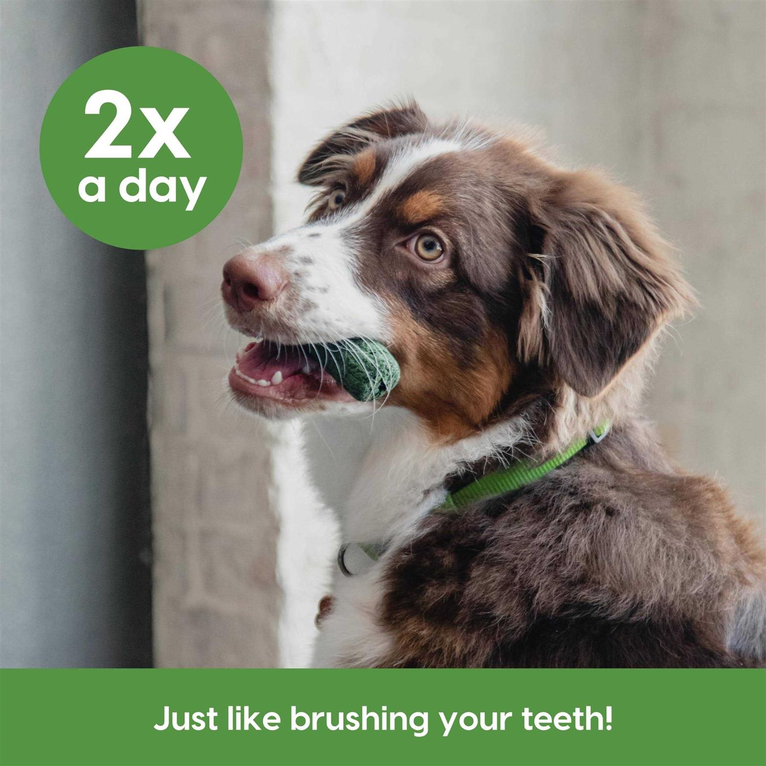 Ark Naturals Sensitive Gums Brushless Toothpaste - Healthber