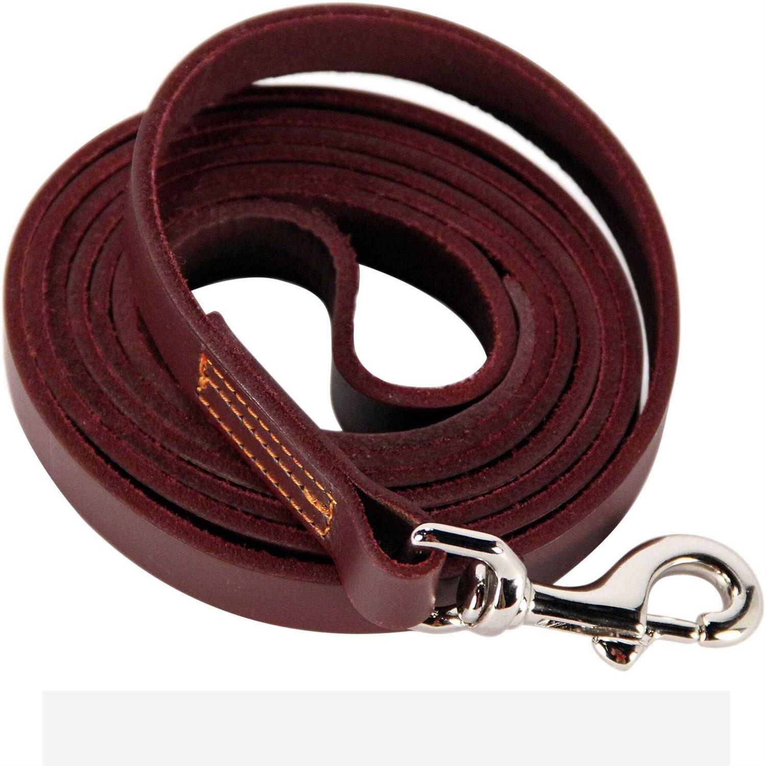 Logical Leather Dog Leash Best for Training - Healthber