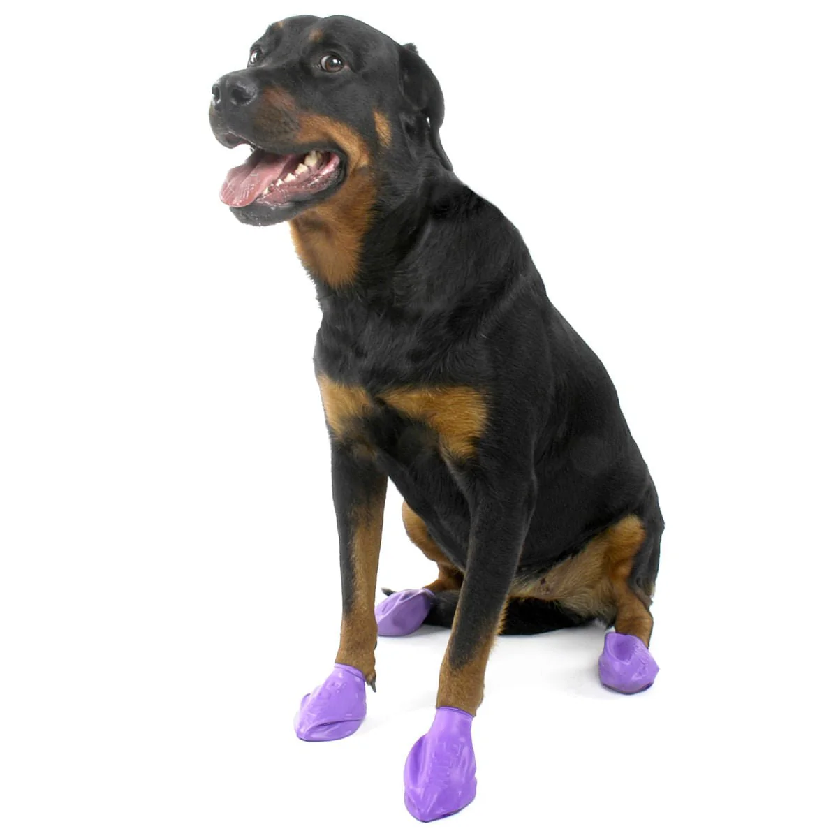 PawZ Dog Boots, 12 pk - Healthber