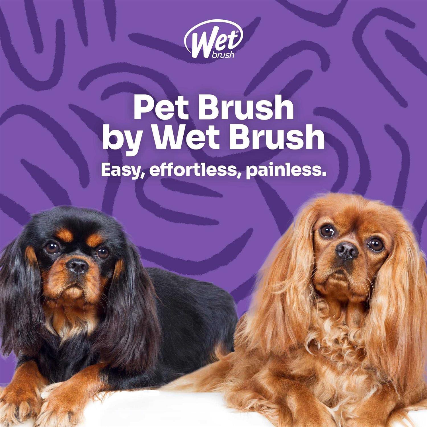 Wet Brush Ultimate Groomer Pet 2-in-1 Detangler - Healthber