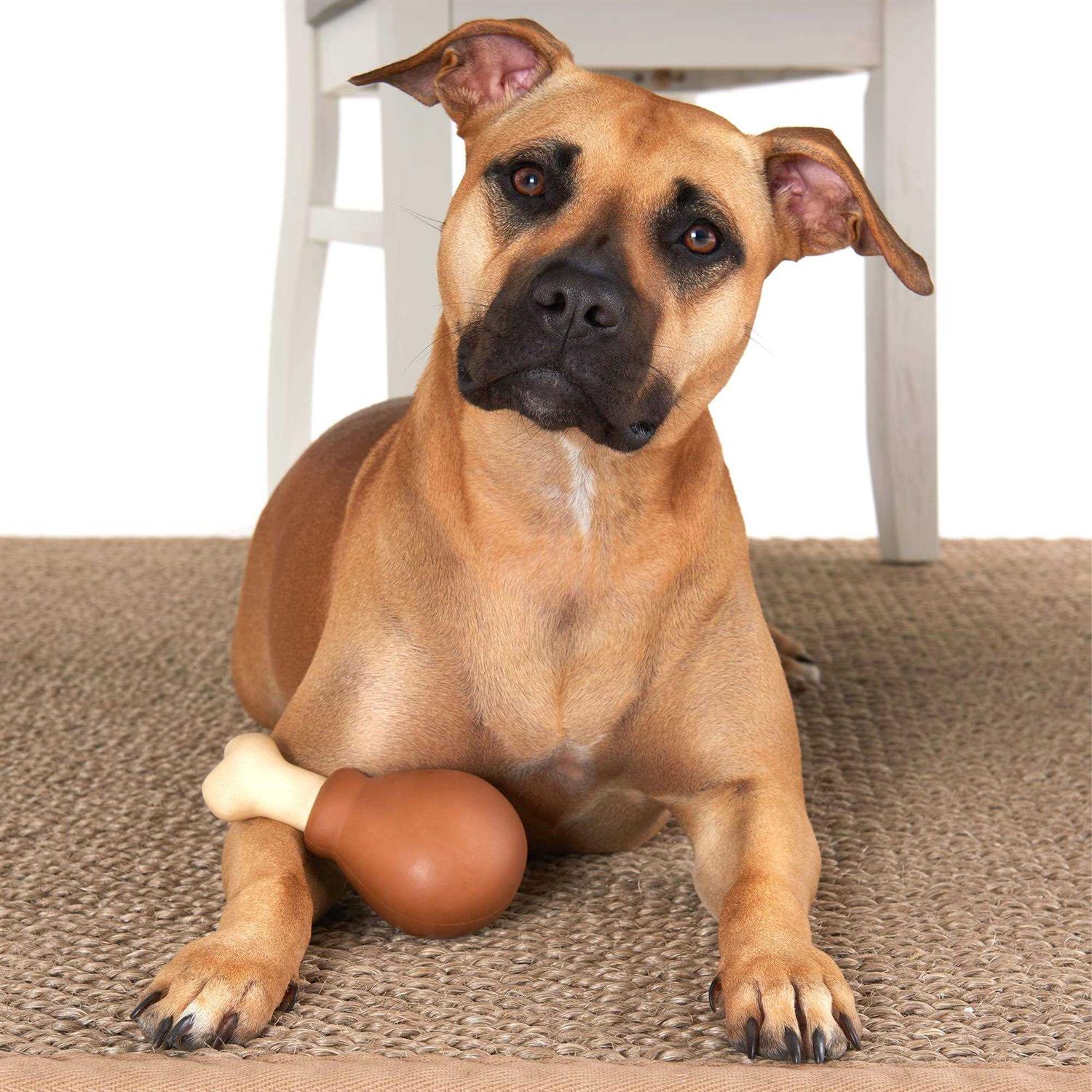 Bark Super Chewer Drumstick Dog Toy - Healthber