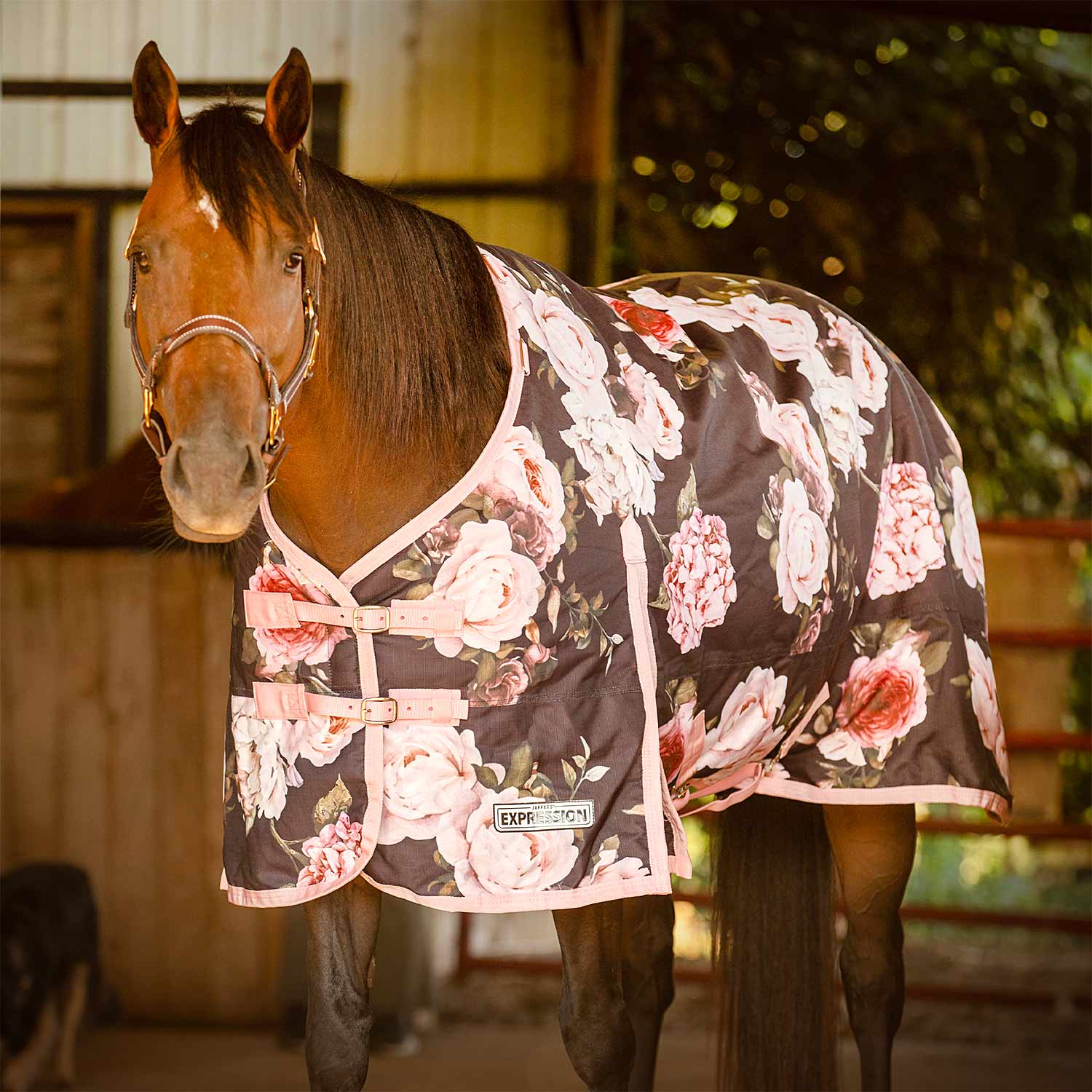 Expression 1200 Denier Standard Neck Turnout Sheet, 0 Gram, Rose Garden - Healthber