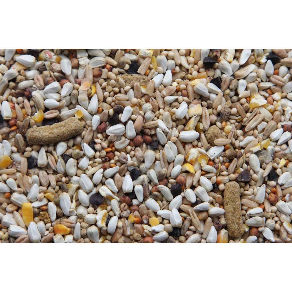 Higgins Australian Hookbill Bird Food - Healthber