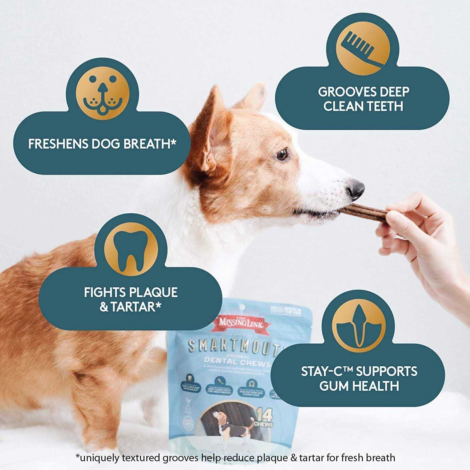 The Missing Link Smartmouth Dental Chews for Dogs - Healthber