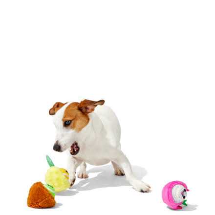 Barkbox Fruity Cutie Tropical Trio Dog Toys Squeaker Ball Toys - Healthber