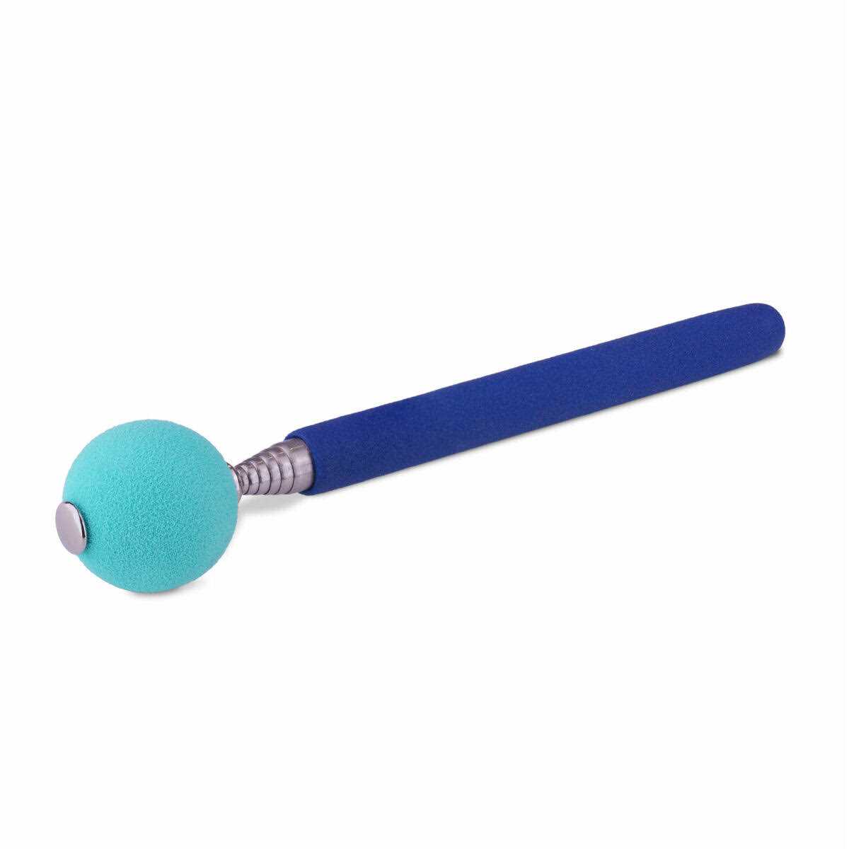 Coachi Dog Training Target Stick - Healthber