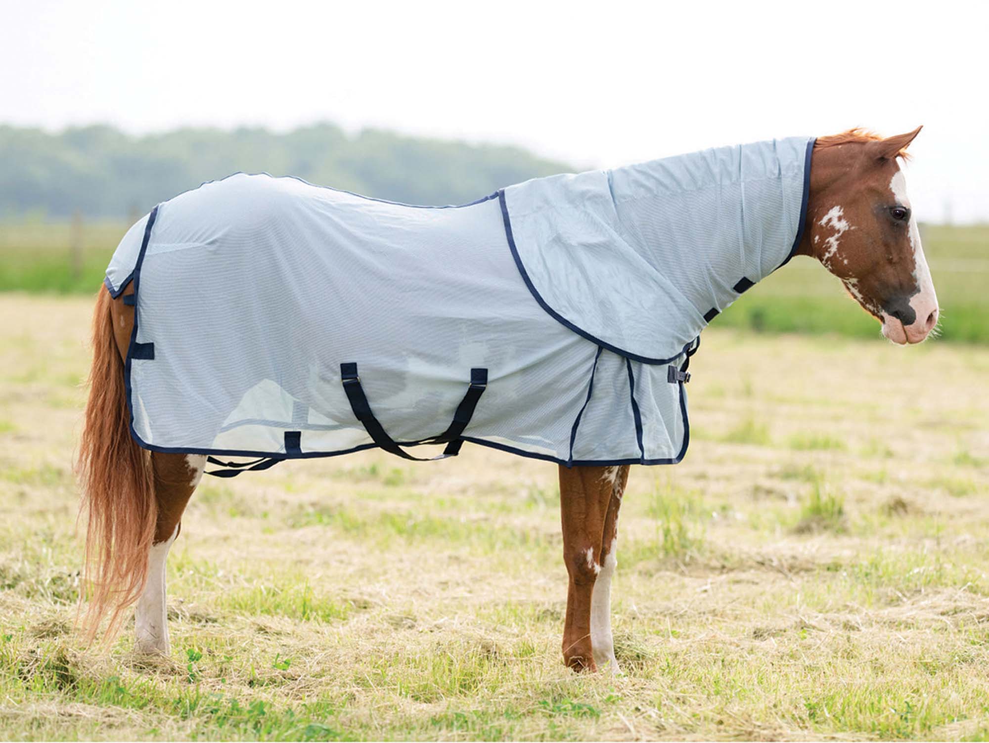 Professional's Choice Theramic Therapy Horse Fly Sheet - Healthber