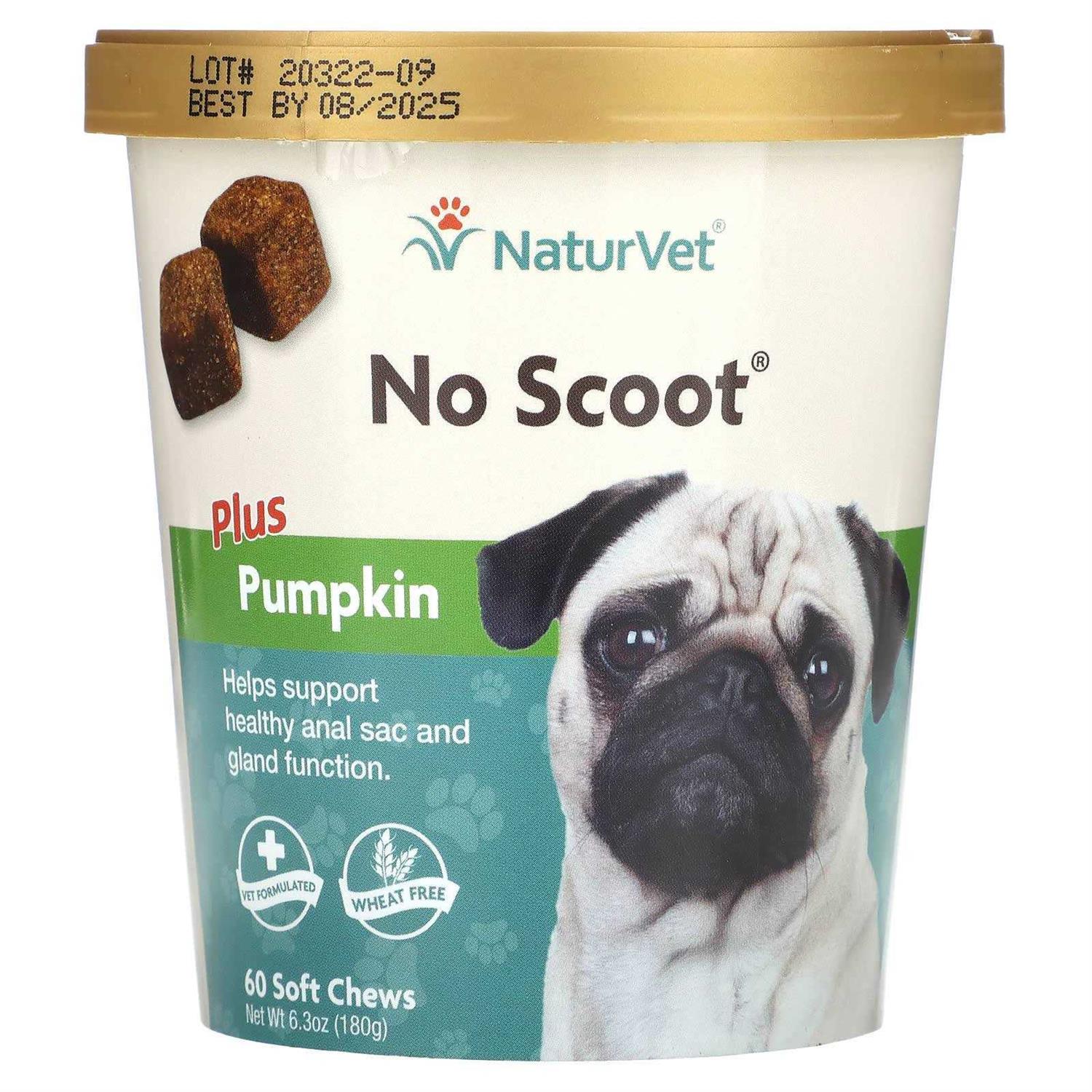 NaturVet No Scoot Plus Pumpkin for Dogs - Healthber