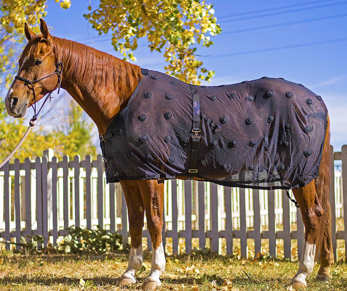 BeneFab Rejuvenate Magnetic Horse Therapy SmartScrim, Black - Healthber