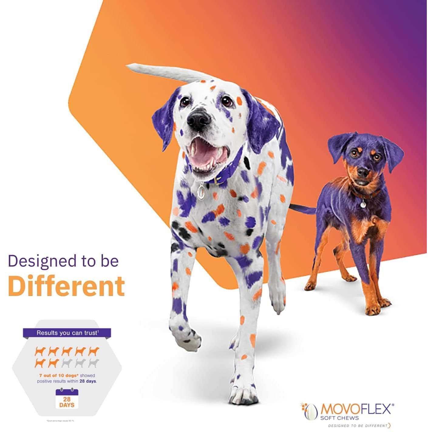Movoflex Joint Support Soft Chews for Dogs - Healthber