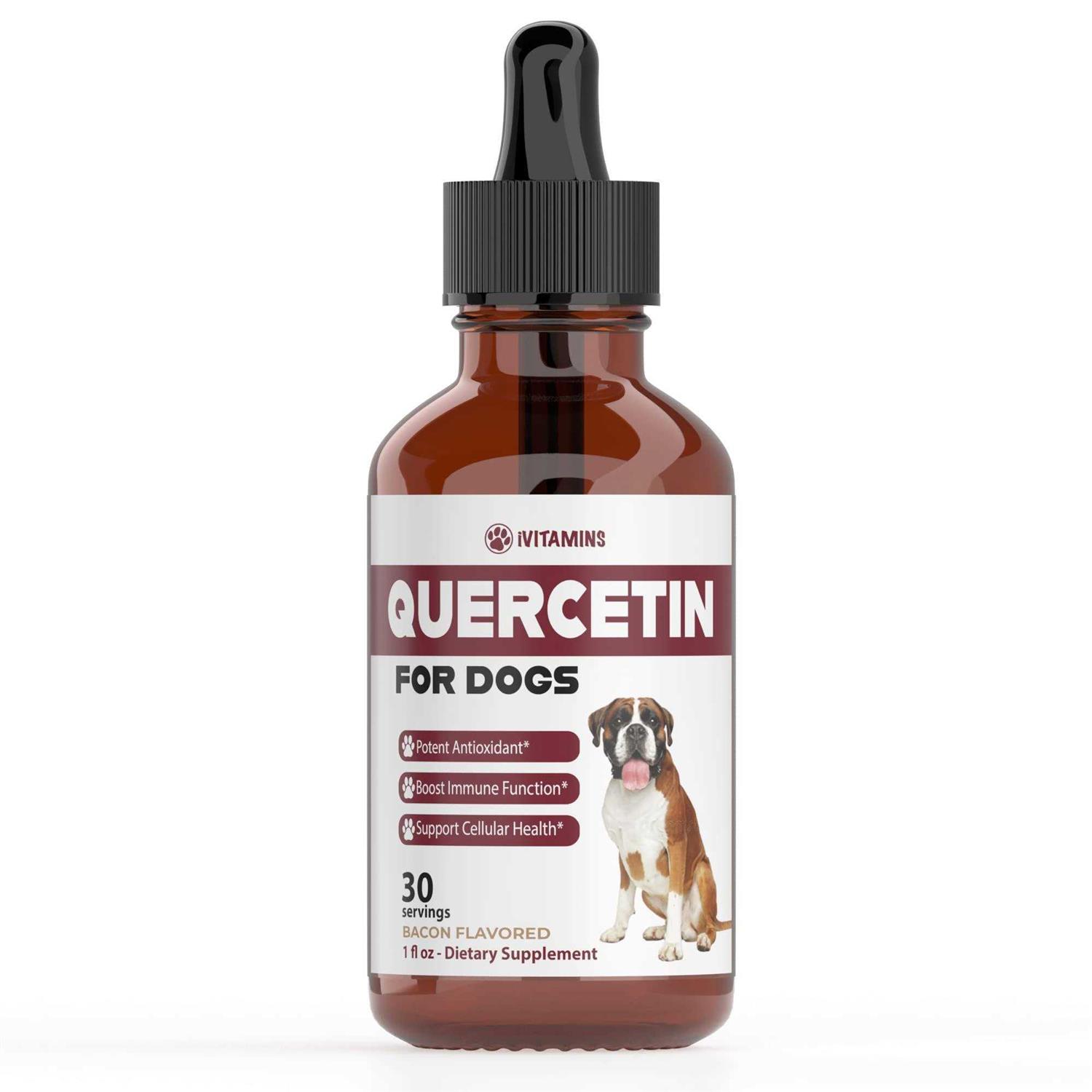 Quercetin for Dogs Dog Allergy Relief Quercetin for Dogs Allergies - Healthber