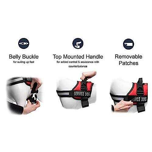 Industrial Puppy Service Dog Vest with Hook and Loop Straps and Detachable Backpacks Harnesses in 7 Sizes from XXS to XXL - Healthber