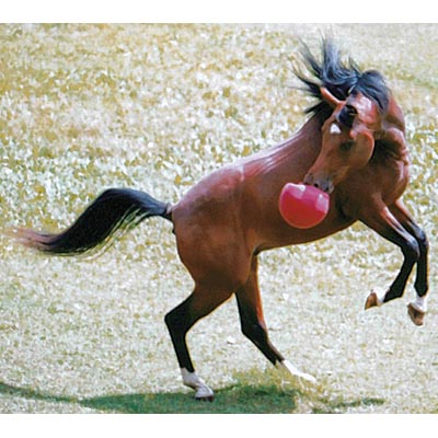 Original Jolly Ball, 10