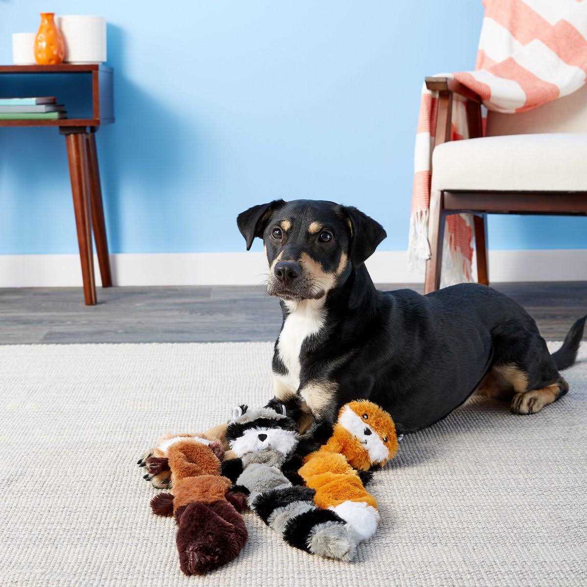 ZippyPaws Skinny Peltz Dog Toy - Healthber