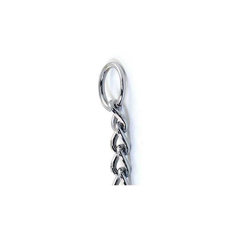Pet Champion Chain Collar - Healthber