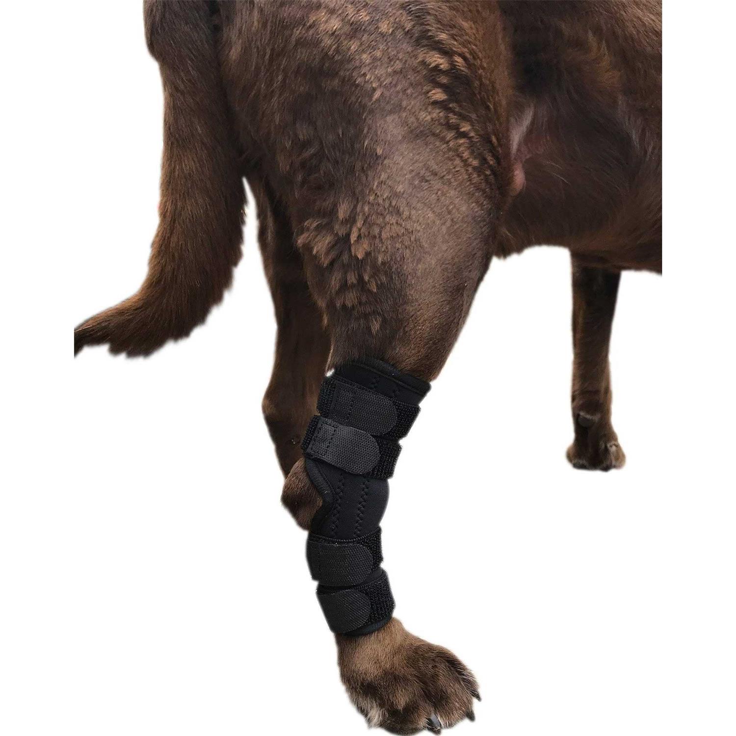 Labra Supportive Dog Rear Leg Hock Joint Wrap Brace with Metal Springs Protects Canine Wounds as They Heal Compression Brace Heals and Prevents - Healthber
