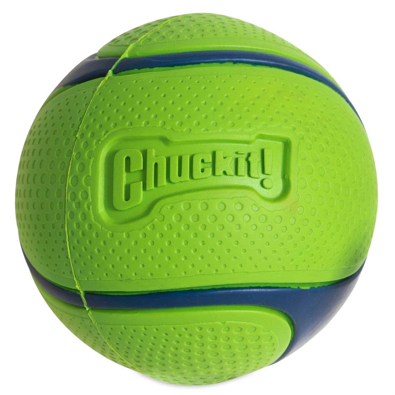 Chuckit! Sniff Fetch Ball Dog Toy - Healthber
