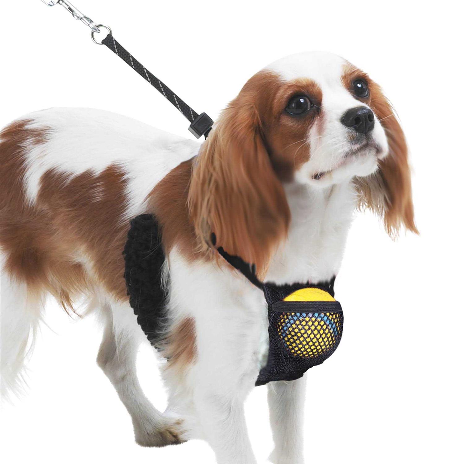 Sporn Nylon Mesh Non-Pulling Dog Harness - Healthber