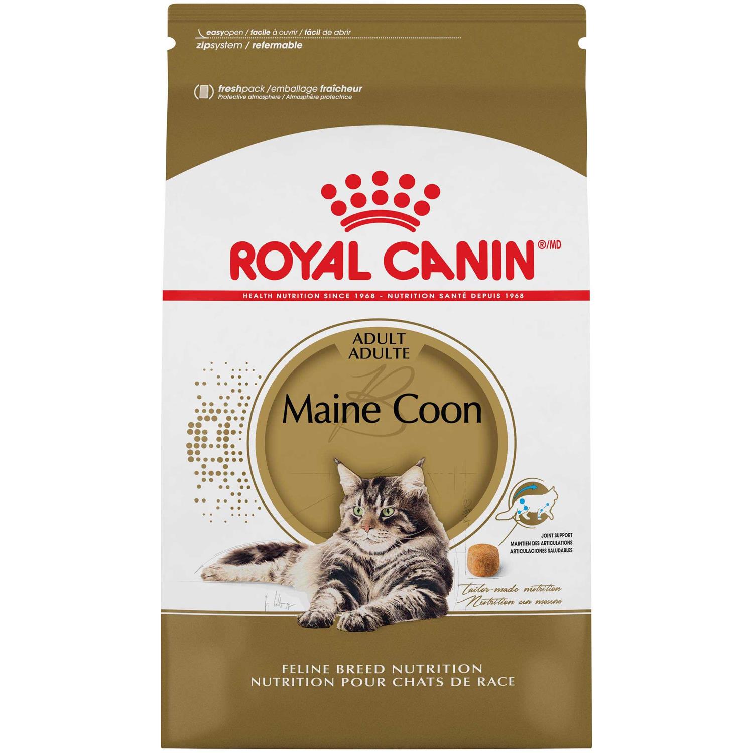 Royal Canin Feline Breed Nutrition Maine Coon Dry Cat Food - Healthber
