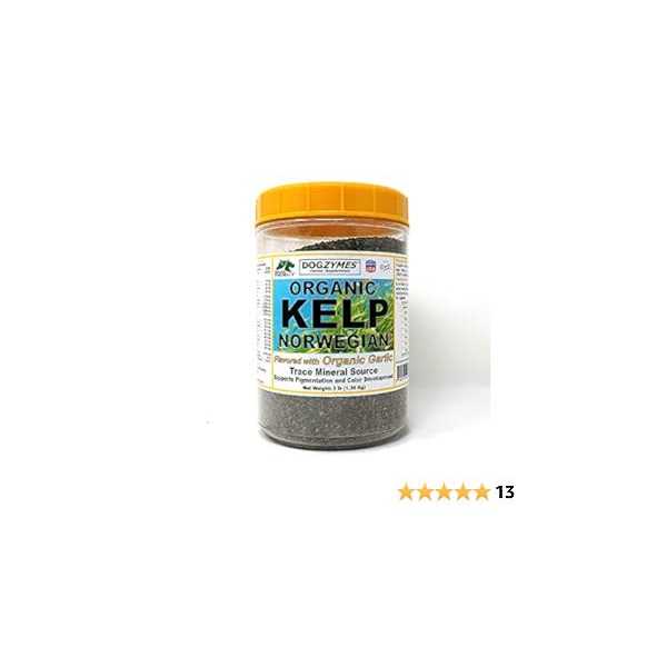 Dogzymes Organic Norwegian Kelp with Organic Garlic - Healthber