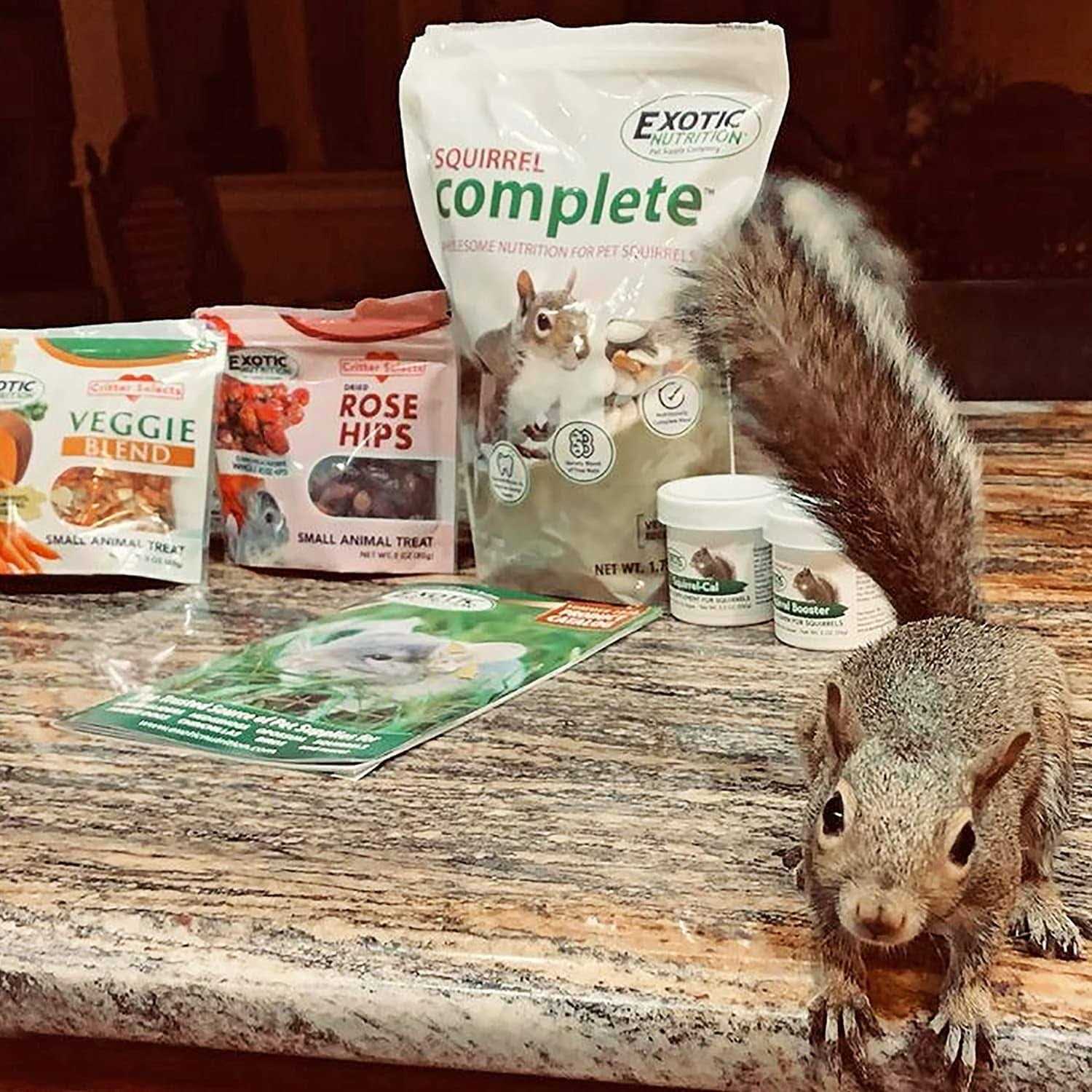 Squirrel Food Starter Package Includes Nutritionally Complete Diet - Healthber