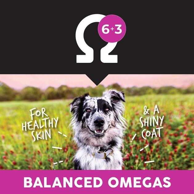 Ultimates Lamb Meal & Rice Dry Dog Food - Healthber
