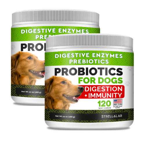 StrellaLab Probiotics for Dogs - Healthber