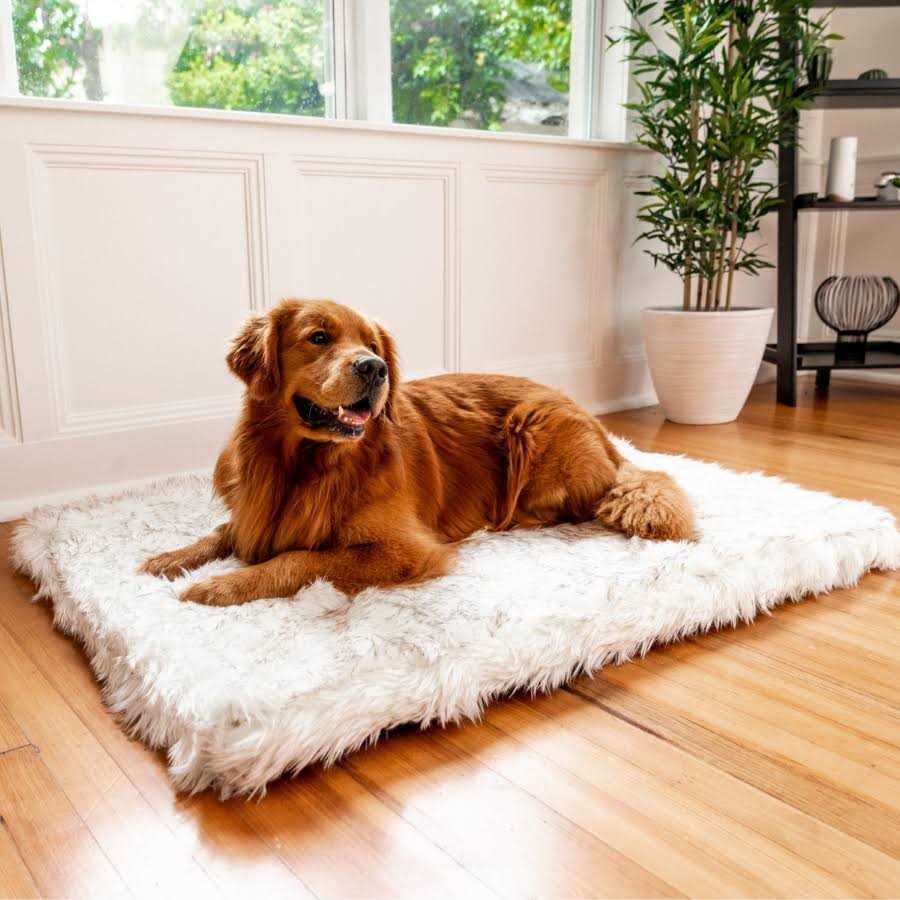 Paw Brands PupRug Faux Fur Orthopedic Dog Bed - Healthber