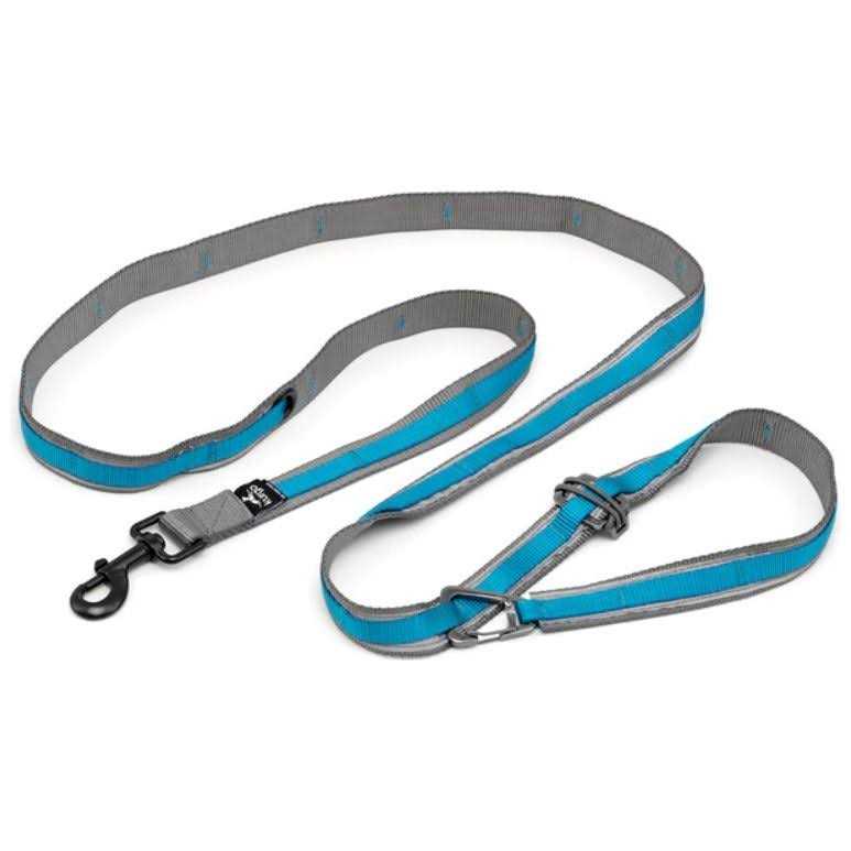Kurgo Quantum Dog Leash - Healthber