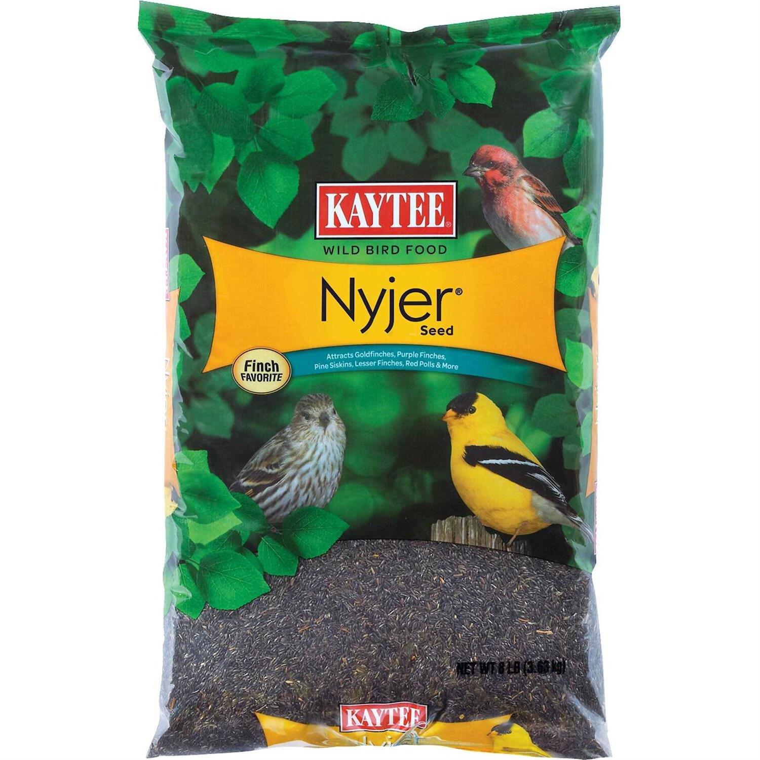 Kaytee Nyjer Seed Wild Bird Food - Healthber
