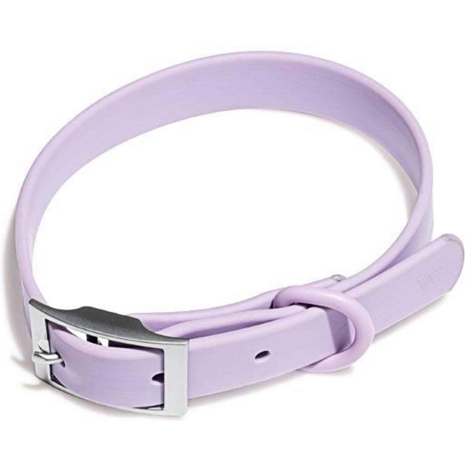 Wild One Dog Collar - Healthber