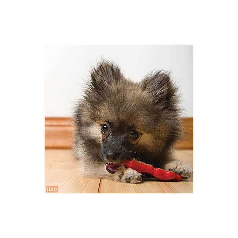 Hartz Chew ‘n Clean Dental Duo Dog Chew Toy Treat - Healthber