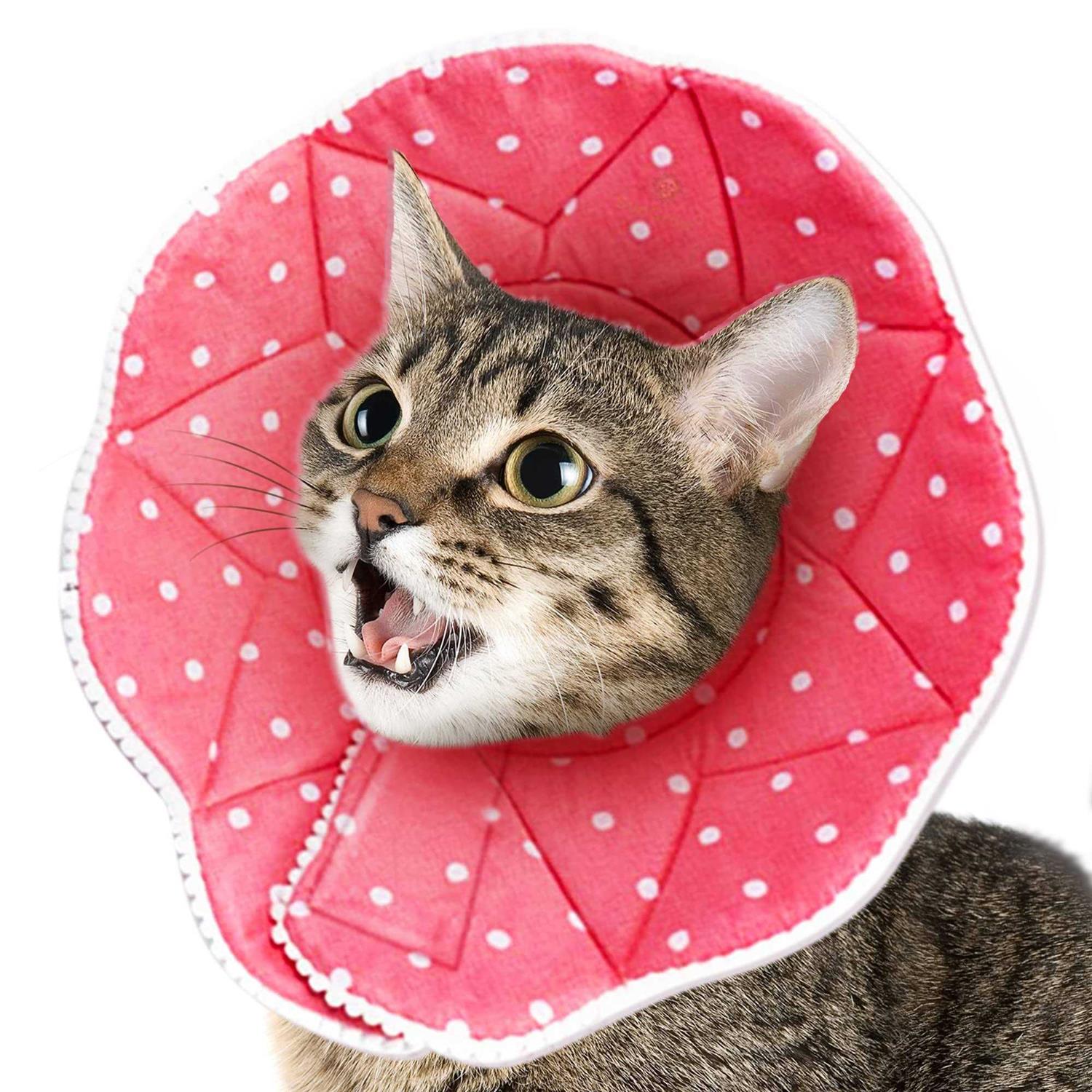 Sungrow Soft e Collar for Small Dogs & Cats After Surgery Recovery Cone to Stop Licking - Healthber