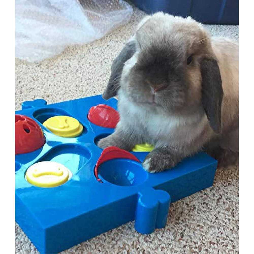 Spot Seek A Treat Flip N Slide Connector Puzzle Interactive Dog Treat and Toy Puzzle - Healthber