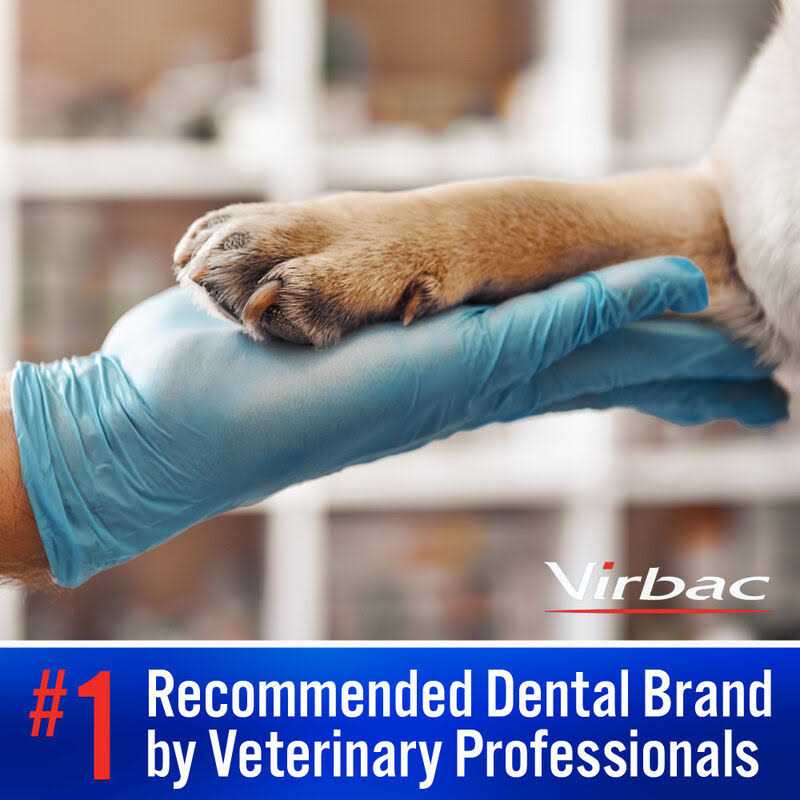 C.E.T. Pet Toothbrush - Healthber