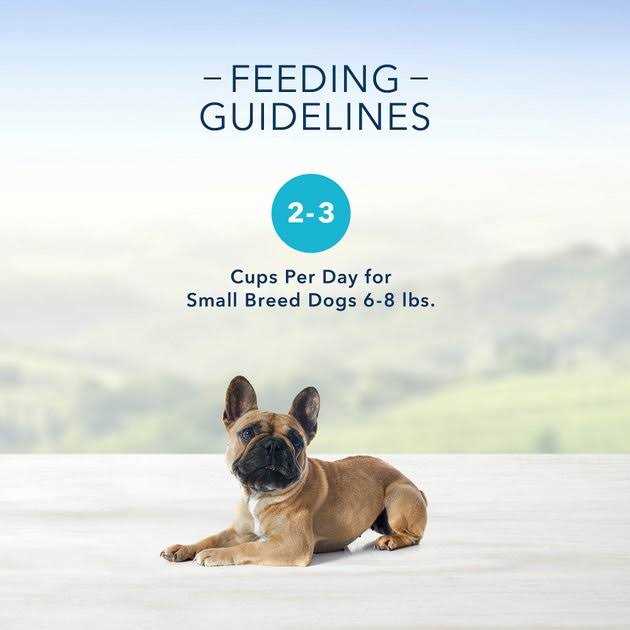 Blue Buffalo Divine Delights Small Breed Rotisserie Chicken in Gravy Dog Food Cup 3.5-oz - Healthber