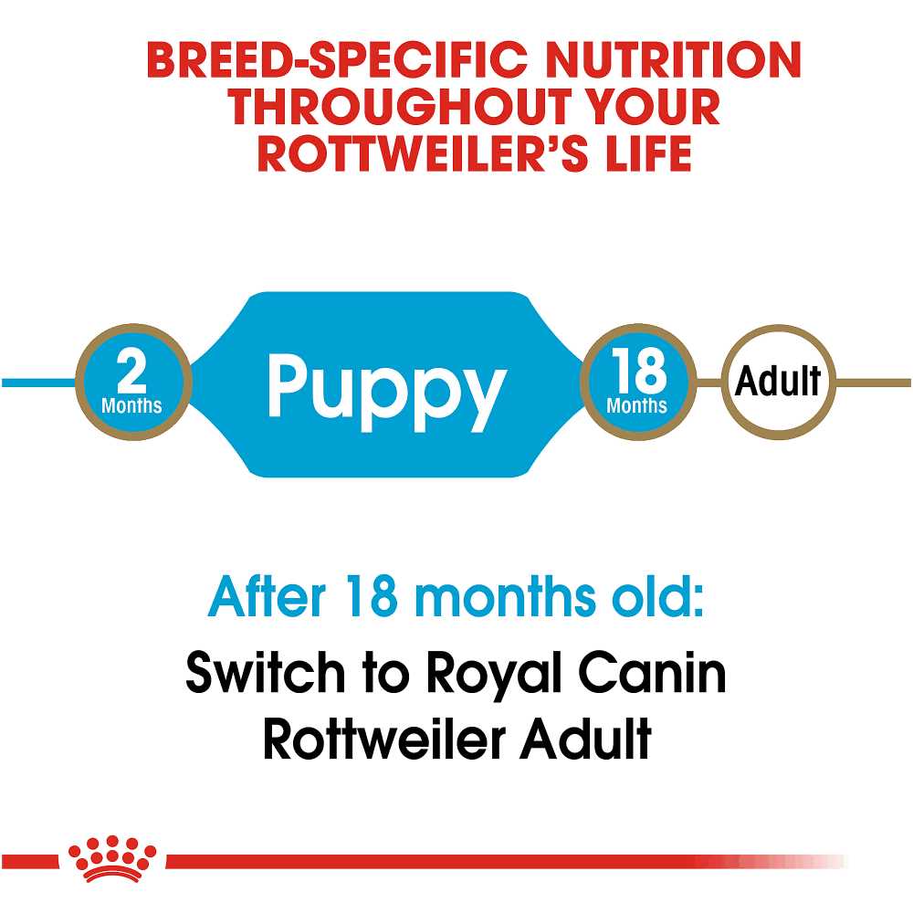 Royal Canin Breed Health Nutrition Rottweiler Puppy Dry Dog Food - Healthber