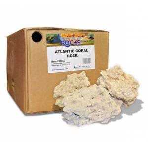 Nature’s Ocean Natural Aquarium Base Rock - Healthber